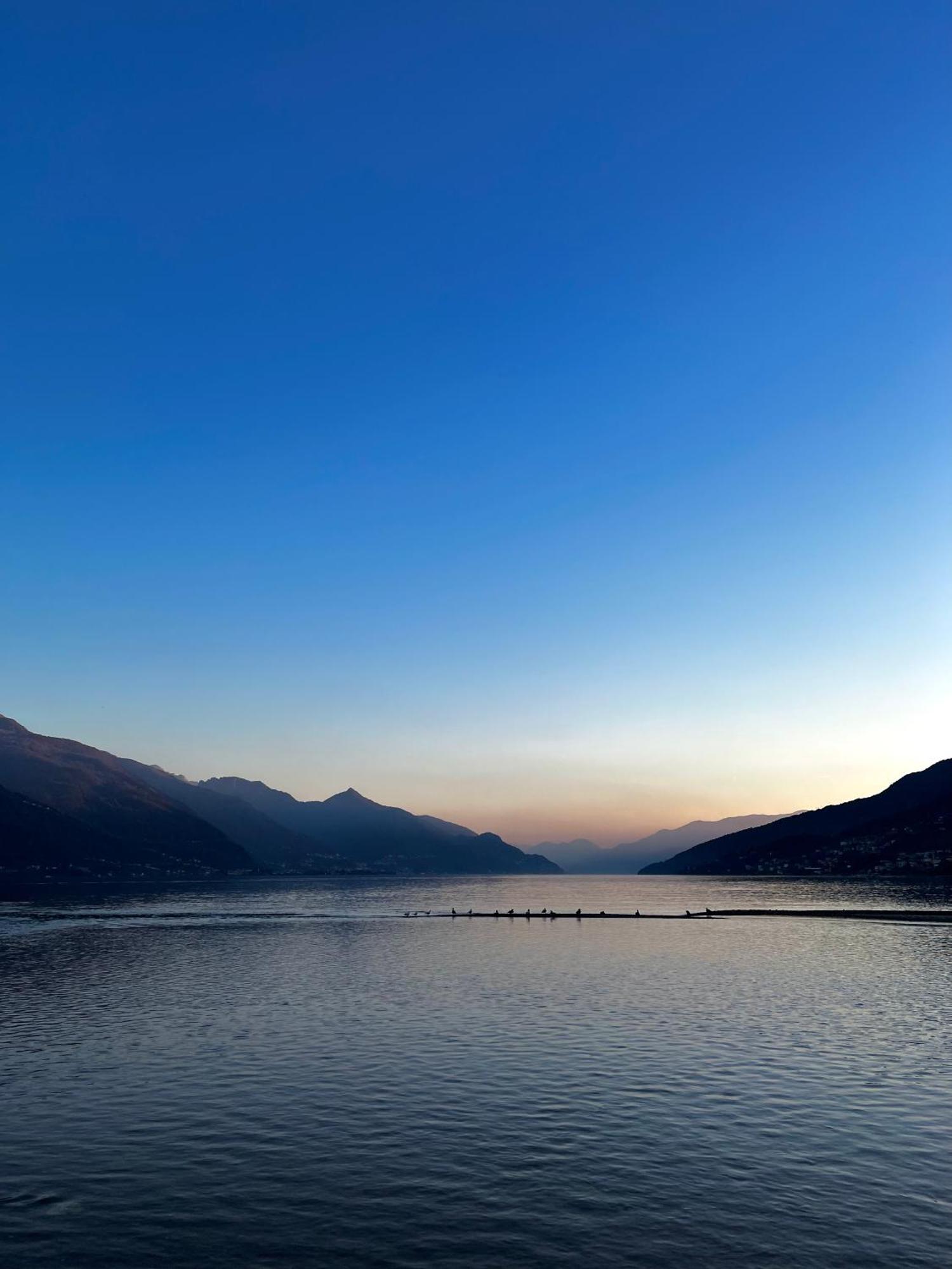 Nymphs Of Lake Como, House Of Harmony - Lake View Apartment Dongo Eksteriør bilde